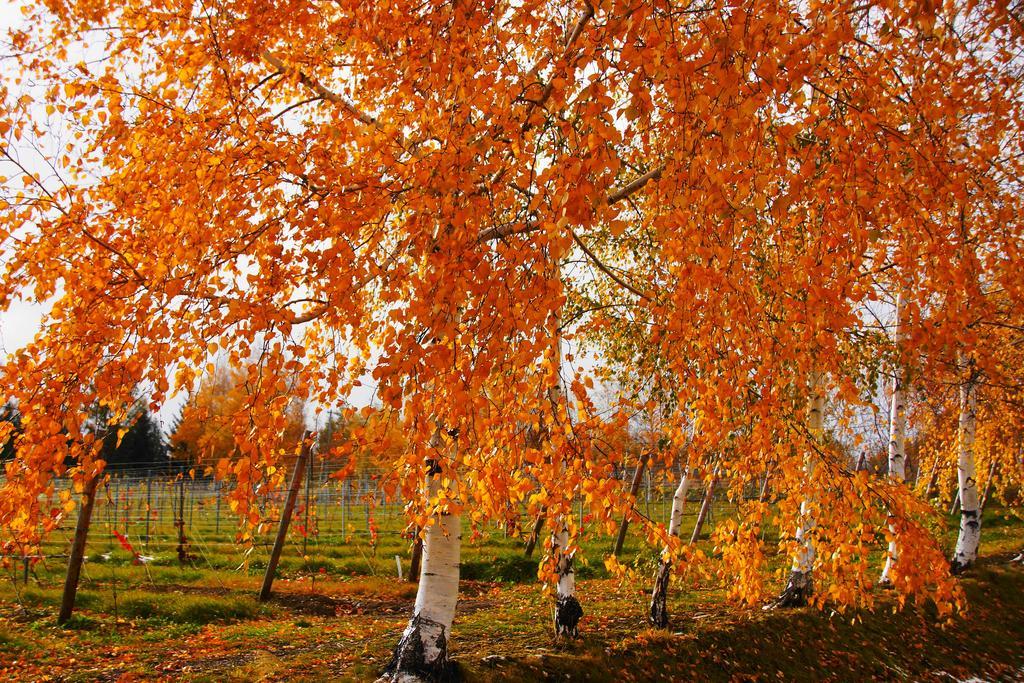 Pension Ashitaya Furano Bagian luar foto